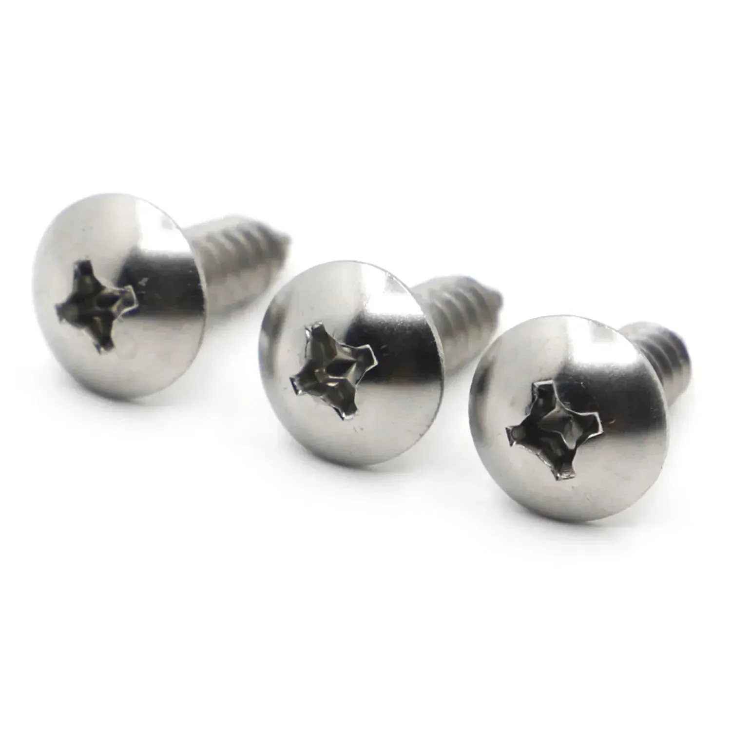 304 Stainless Steel Wood Screws - 10/20 Pack