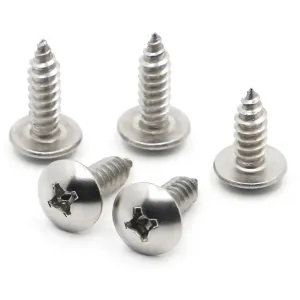 304 Stainless Steel Wood Screws - 10/20 Pack