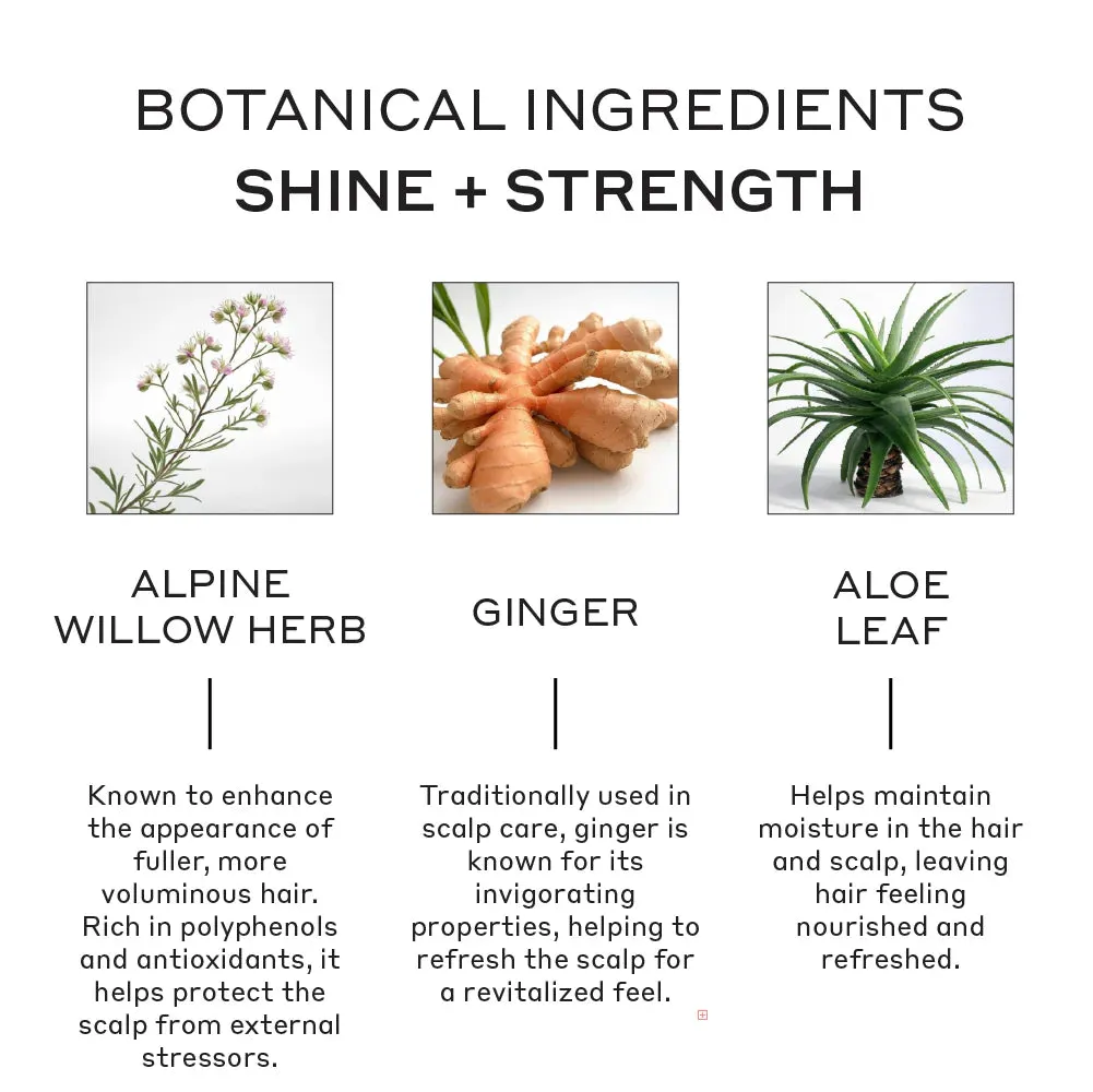 Evolve Nourishing Repair Conditioner