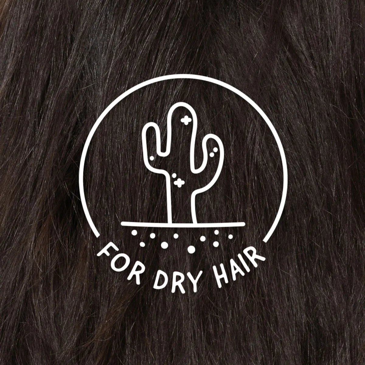 Live and Let Shine™ Gift Pack for Balanced Hair